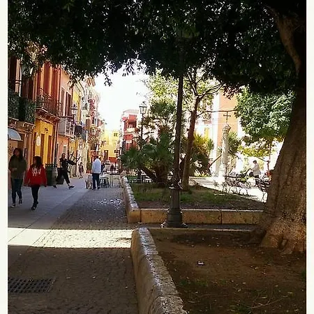 Bed & Breakfast Flamingo *